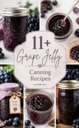 grape-jelly-ccccc-55080