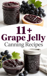 grape-jelly-ccccc-56704