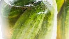 Half Sour Pickles