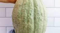 How to bake Hubbard squash whole