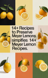 14+ Recipes to Preserve Meyer Lemons meyer-lemons-ccccc-10192