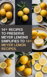14+ Recipes to Preserve Meyer Lemons meyer-lemons-ccccc-18963