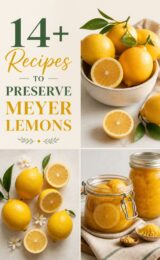 14+ Recipes to Preserve Meyer Lemons meyer-lemons-ccccc-44212