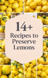 meyer-lemons-ccccc-74764