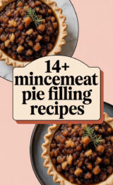 mincemeat-pie-filling-ccccc-28530