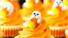 Mini Candy Corn Cheesecakes