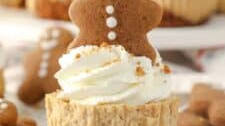 Mini Gingerbread Cheesecake Recipe