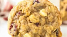 Oatmeal Cranberry Cookie Recipe