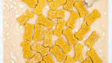 Oatmeal Pumpkin Dog Treat Recipe
