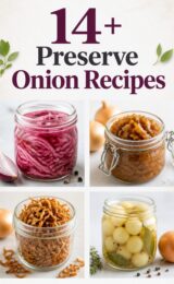 14+ Onion Preserve Recipes onion-ccccc-39111