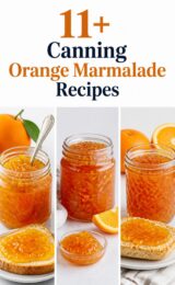 11+ Canning Orange Marmalade Recipes orange-marmalade-ccccc-32163