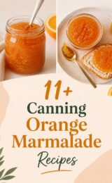 orange-marmalade-ccccc-80903