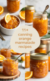 11+ Canning Orange Marmalade Recipes orange-marmalade-ccccc-81738