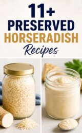 11+ Preserved Horseradish Recipes preserved-horseradish-ccccc-47254
