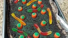 Pumpkin Patch Delight