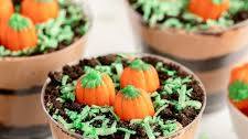 Pumpkin Patch Dirt Cups