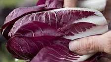Radicchio and red wine risotto