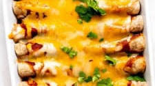 Roasted Vegetable Enchiladas