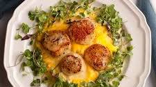 Scallops with Butternut Squash Puree and Tarragon Cream Sauce