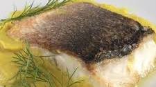 Sea Bass with Fennel Sauce