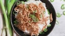 Shredded Teriyaki Chicken