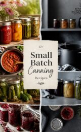 17+ Small Batch Canning Recipes small-batch-canning-ccccc-47856