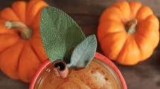 Spiced Pumpkin Punch