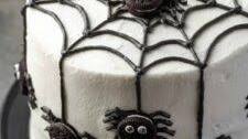 Spider Cake