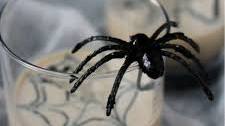 Spiderweb White Russian Cocktail