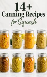 14+ Canning Recipes for Squash Relish squash-relish-ccccc-73825