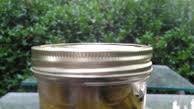 Sweet Dill Pickled Okra