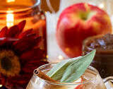 14+ Thanksgiving Cocktails with Whiskey Recipes Thanksgiving Apple Whiskey Cocktail