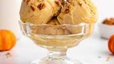 Vegan Pumpkin Ice Cream