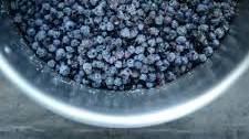 Wild Blueberry Jam