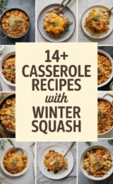 casserole-ccccc-77656