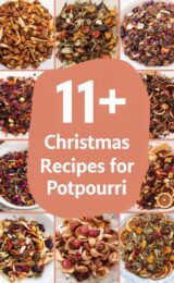 11+ Christmas Recipes for Potpourri potpourri-ccccc-44916