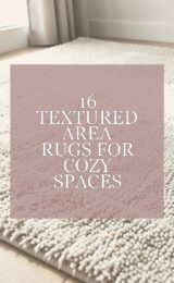 area-rugs-ccccc-1692-studio
