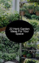 22 Herb Garden Ideas For Your Space herb-garden-ccccc-2729-studio