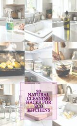 eco-conscious-kitchens-ccccc-6572-studio