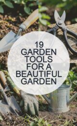 garden-tools-ccccc-5780-studio