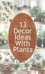 plants-ccccc-8293-studio