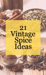 vintage-spice-ccccc-9951-studio
